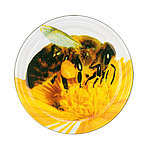 Gläserdeckel 66mm Honigglas Motiv: Biene Twist-off